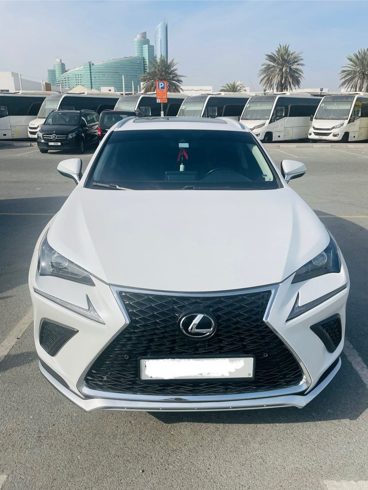 
								Lexus NX 300 full									
