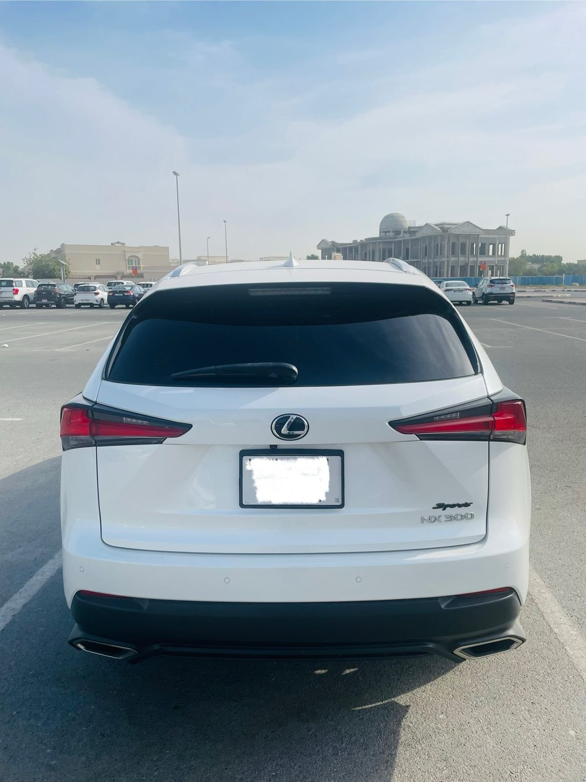 
								Lexus NX 300 full									